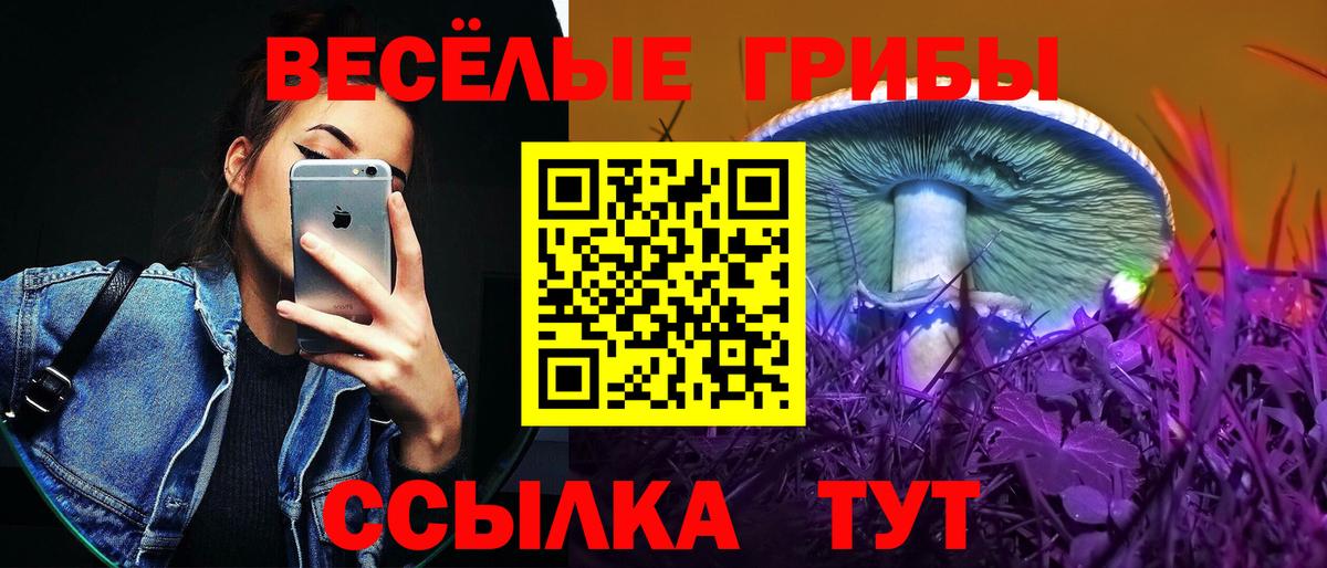 Галлюциногенные грибы Cubensis  Вход с VPN  Псилоцибиновые грибы GOLDEN TEACHER  Гурьевск 